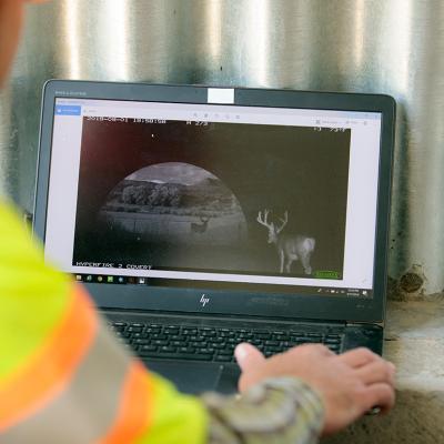Photographer Mark Lawler from the Colorado Department of Transportation looking at photos that came from a remote camera, which captured wildlife in Buena Vista, Colorado, USA.