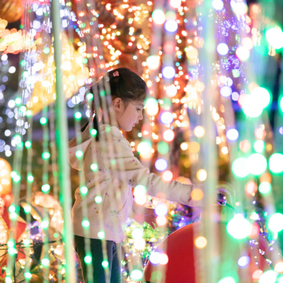 A child playing in a display of Christmas lights.