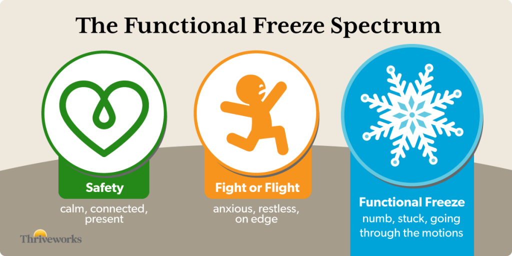 Infographic showing the functional freeze spectrum.