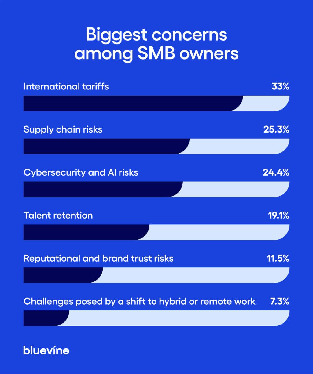 Infographic about biggest concerns among SMB owners.