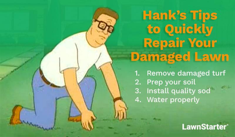Illustration showing Hank Hill taking care of his lawn and a list of Hank's tips to quickly repair your damaged lawn.