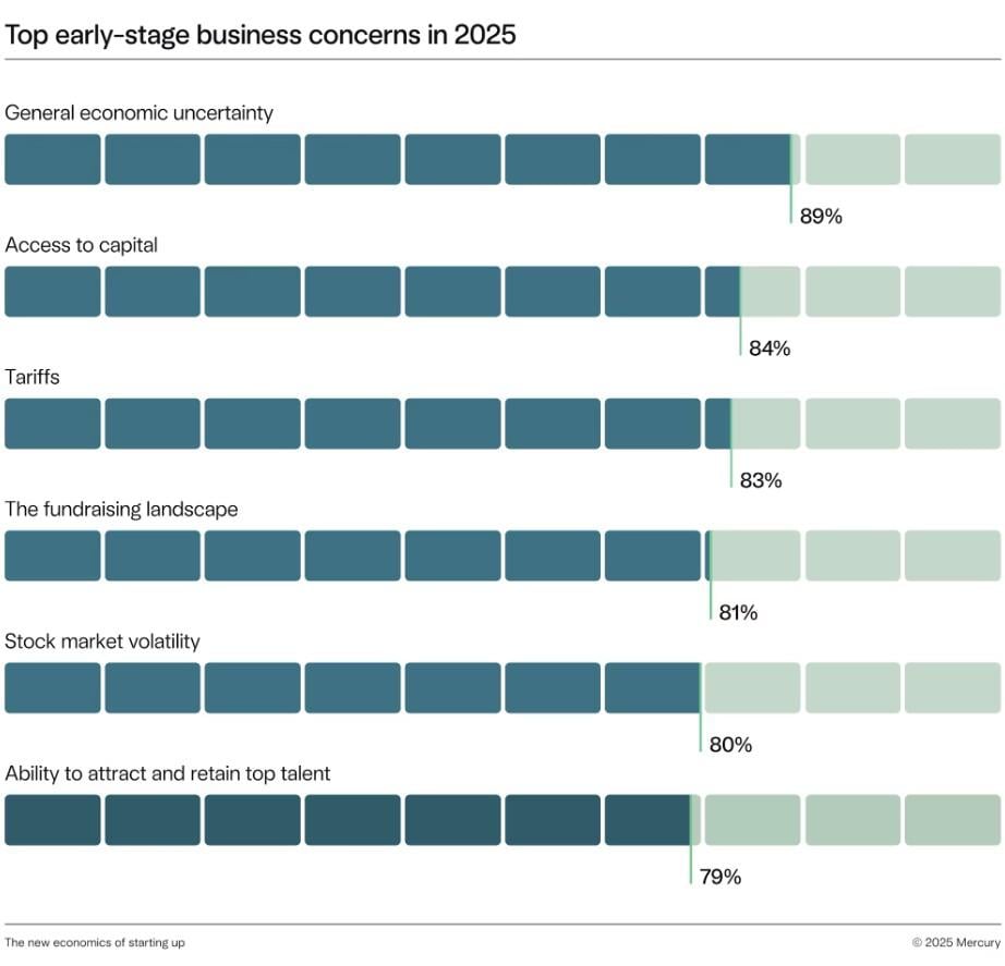 Data chart showing top early-stage business concerns in 2025.