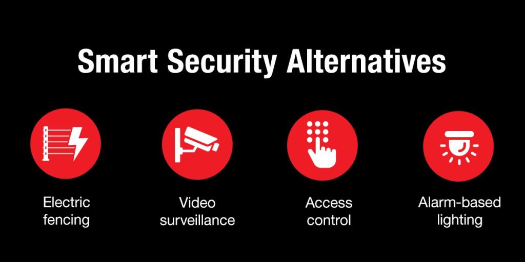 Four security alternatives outined in red on a black graphic