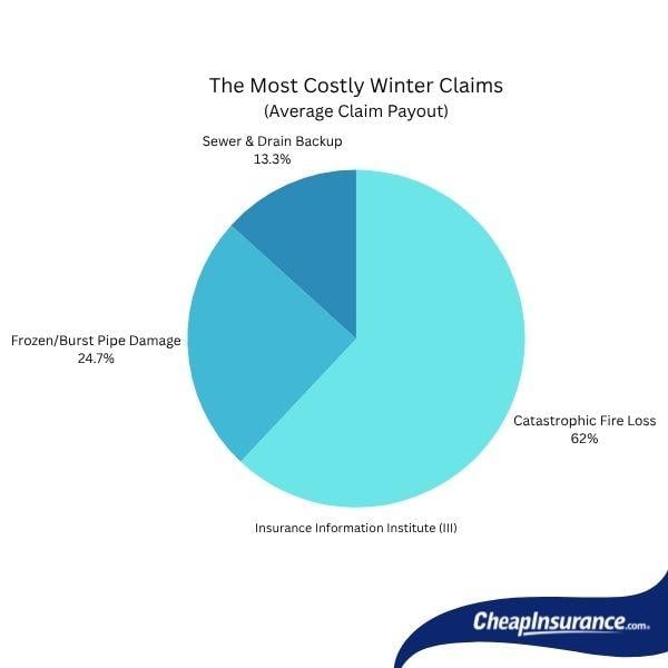 Pie chart showing the most costly winter claims (by average claim payout).