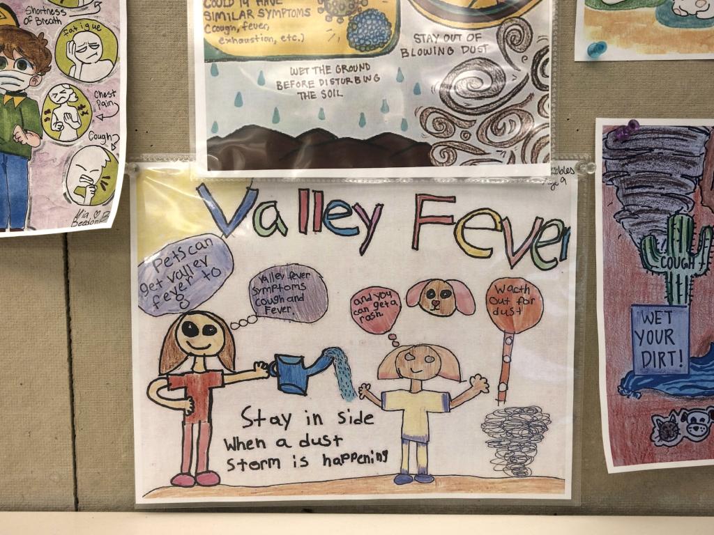 Valley fever posters created by children hang in the Valley Fever Center for Excellence.