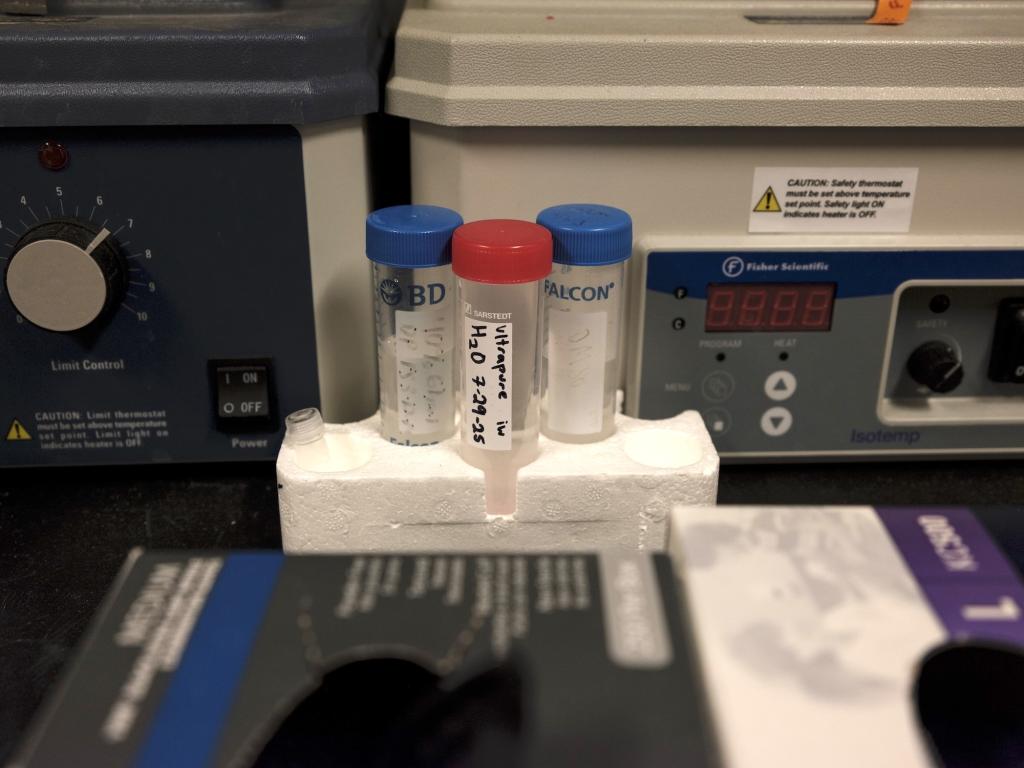 Biological samples sit in a lab at the Valley Fever Center for Excellence. 