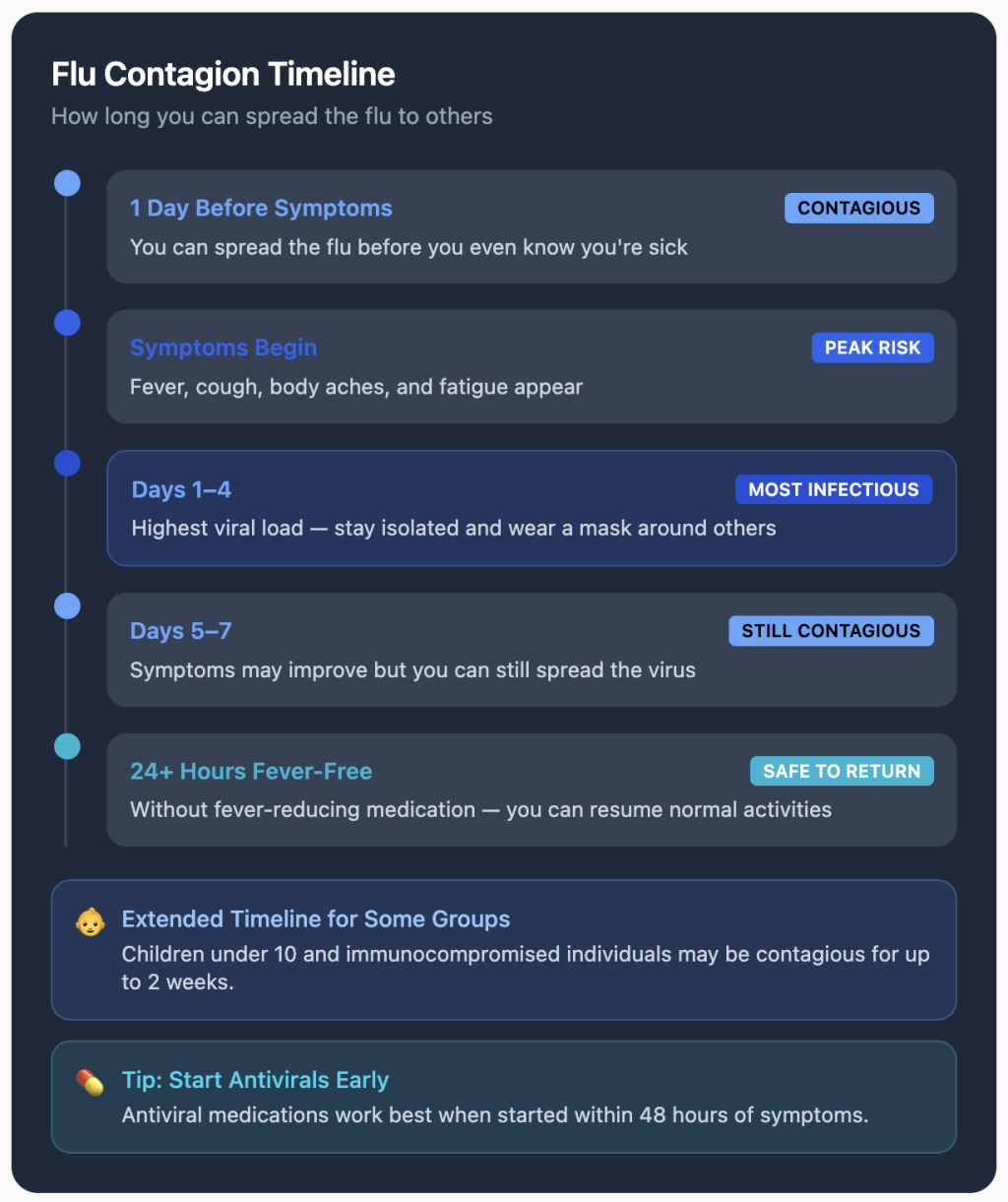 A graphic showing the timeline of a flu contagion.