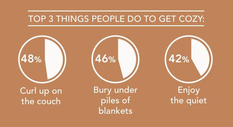 A data pie chart graphic showing the top three things people do to get cozy.