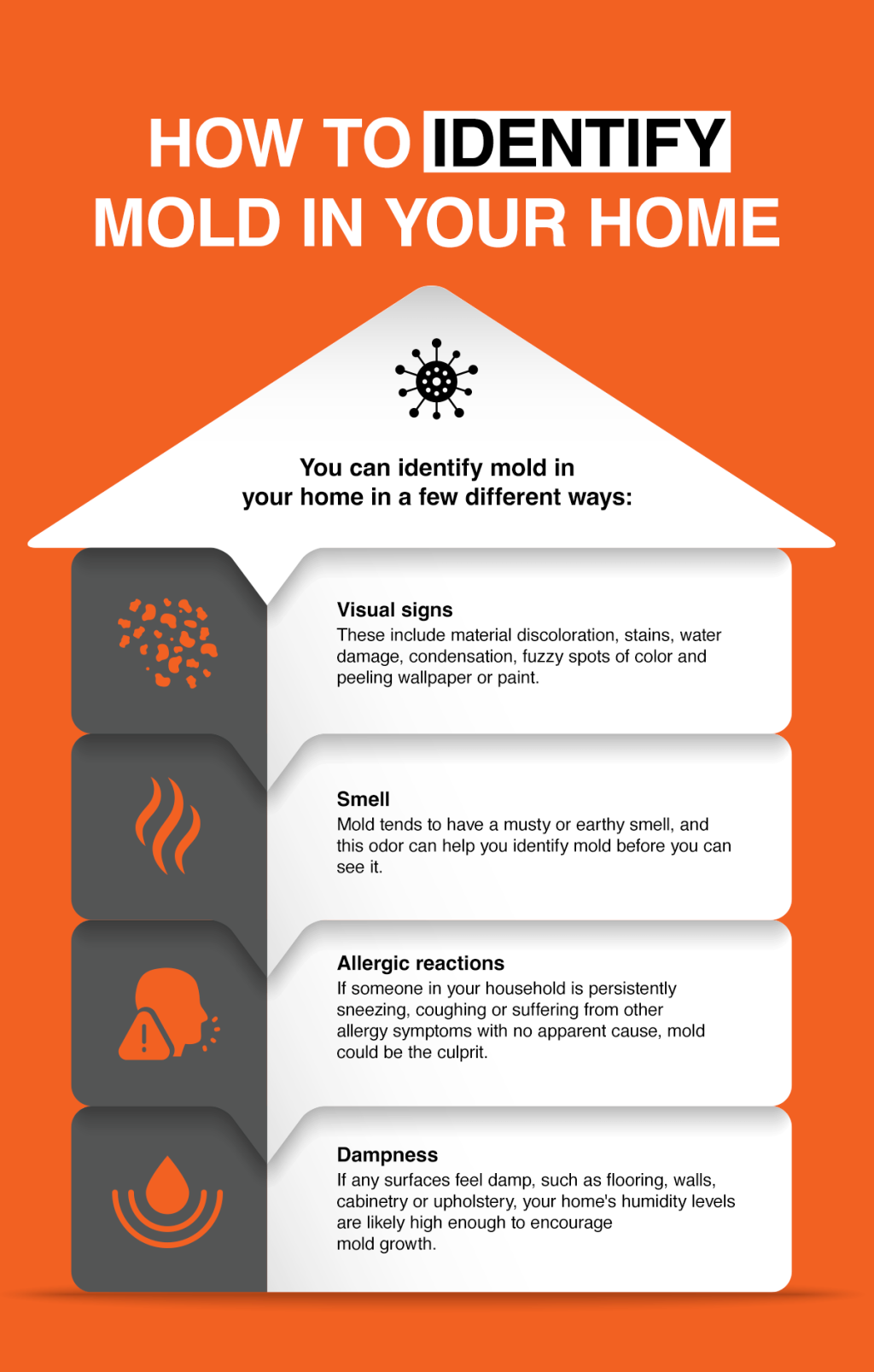 An infographic listing ways on how to identify mold in your home.