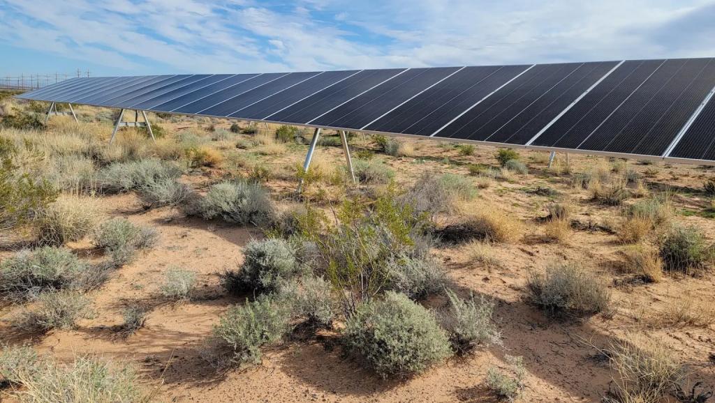 Desert plants grow among panels in the Gemini Solar Project, outside Las Vegas. 