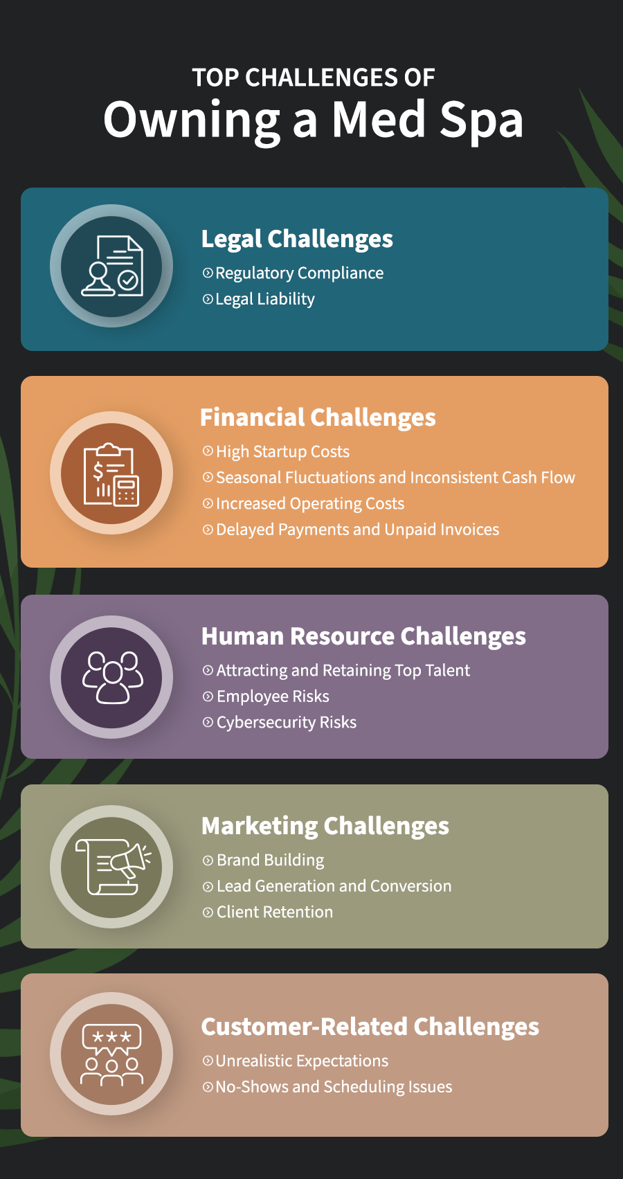 An infographic listing the top challenges of owning a med spa.