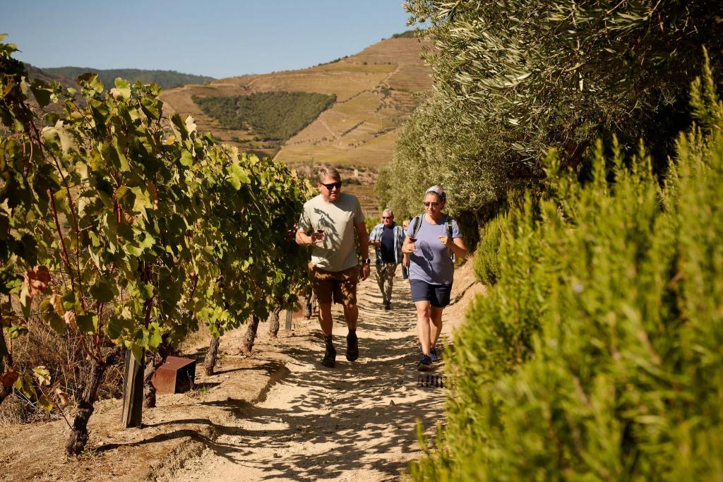 Hikers walking the Douro Valley in Portugal.