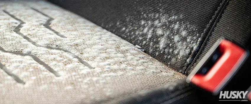 Mold forming on the surface of an upholstered car seat.