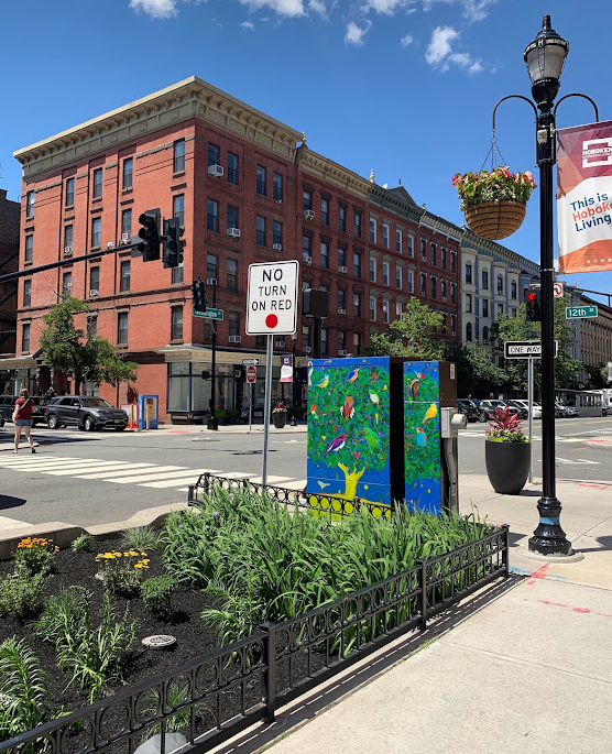 Washington Street rain garden near an intersection.