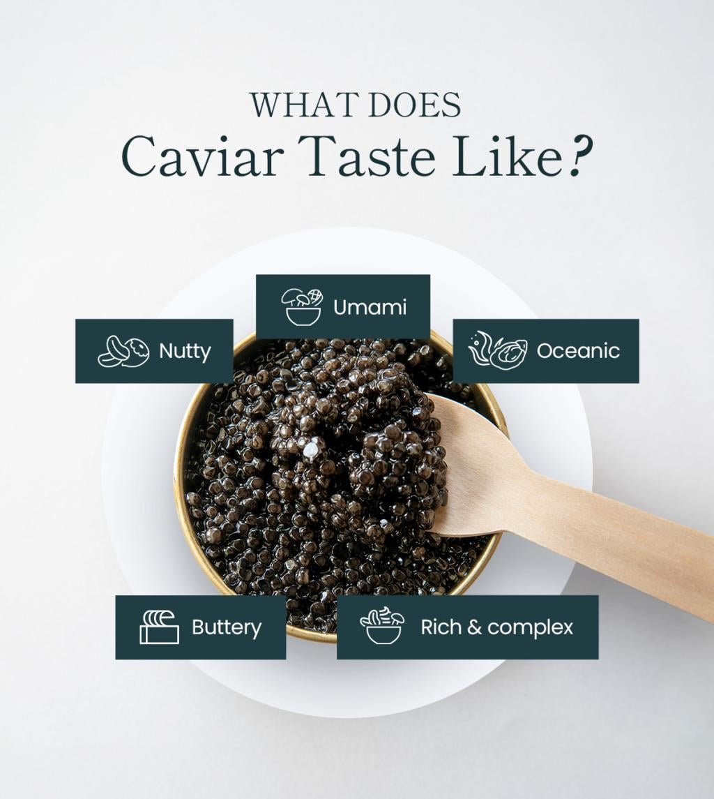 An infographic of caviar labeled with flavors it tastes like.