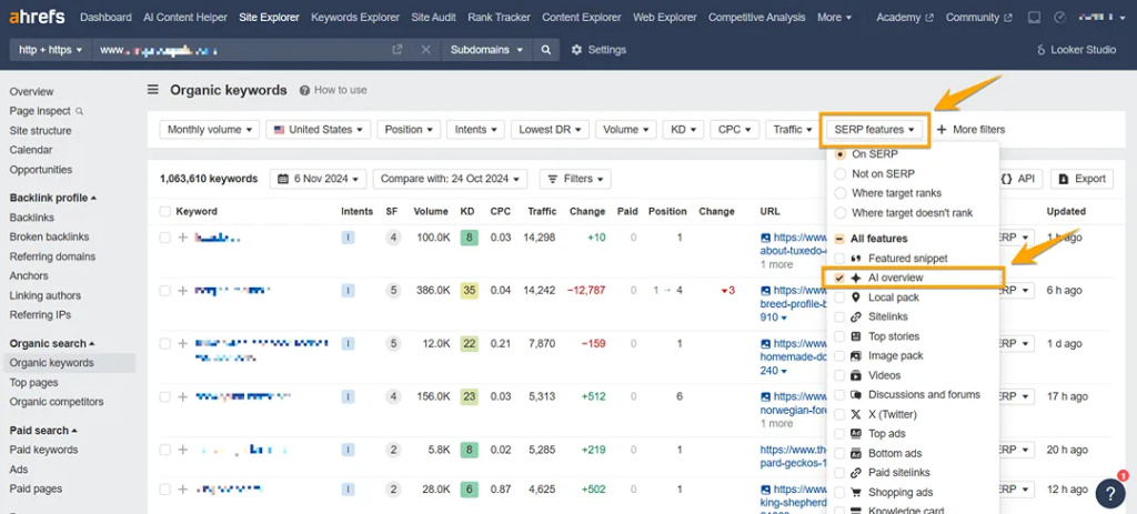A screenshot of an AI Overview being visible on Ahrefs.