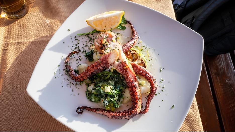 A plate of a grilled octopus dish with citrus and and herbs.