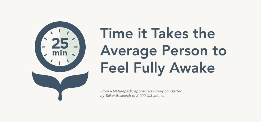 Infographic stating that it takes the average person 25 minutes to wake up in the morning according to a survey of 2,000 people.