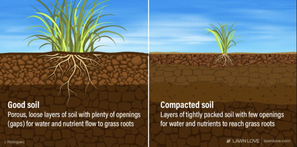 An infographic showing how good soil vs. compacted soil retain moisture.