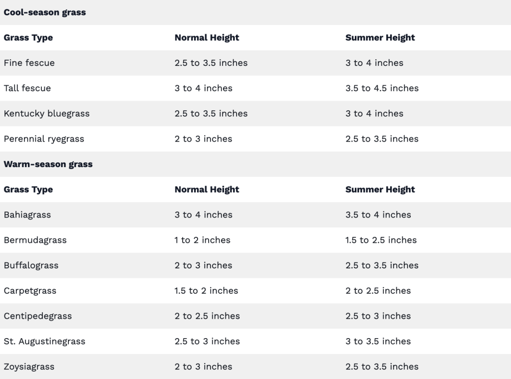 A guide on how to cut grass during summer (based on grass type).
