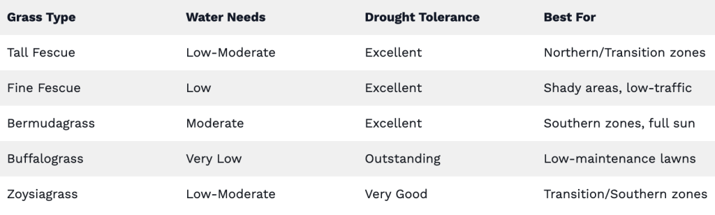 Table listing the best drought-tolerant grasses by region.