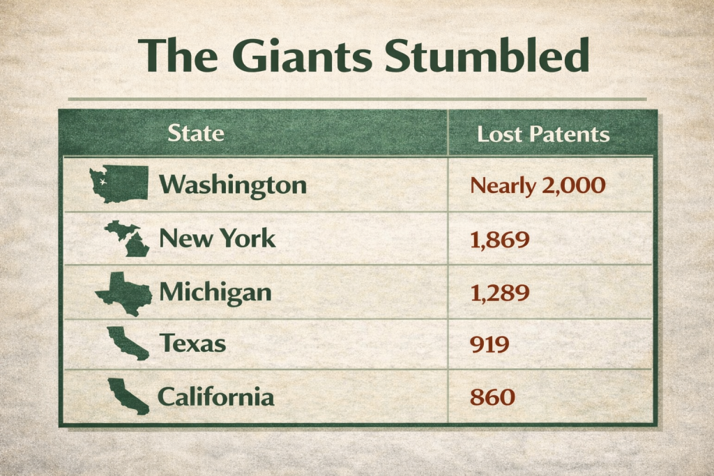 An infographic on the top states with the most number of lost patents.