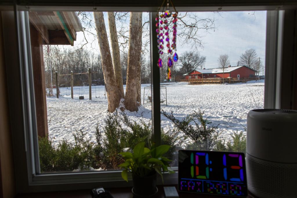 A view from the library across the grounds toward the main building. 
