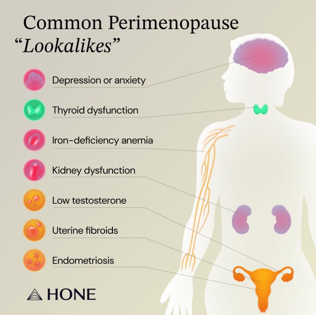 Infographic listing the common perimenopause "lookalikes".
