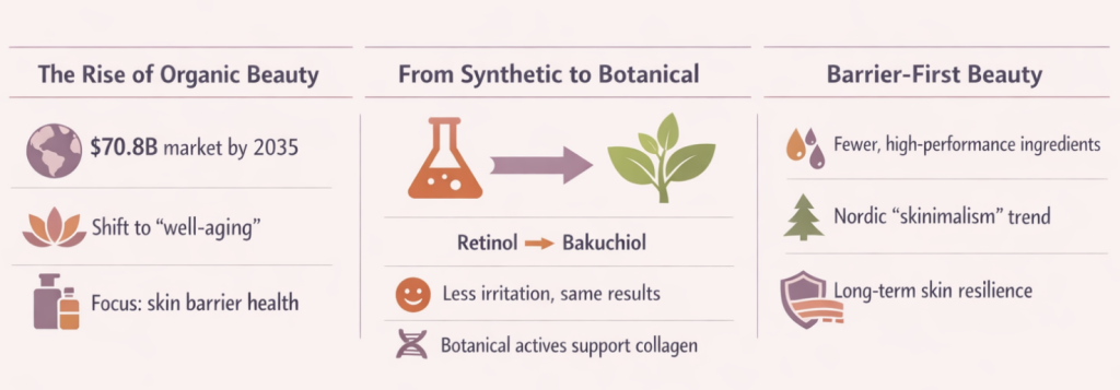 An overview infographic on the rise of organic beauty.