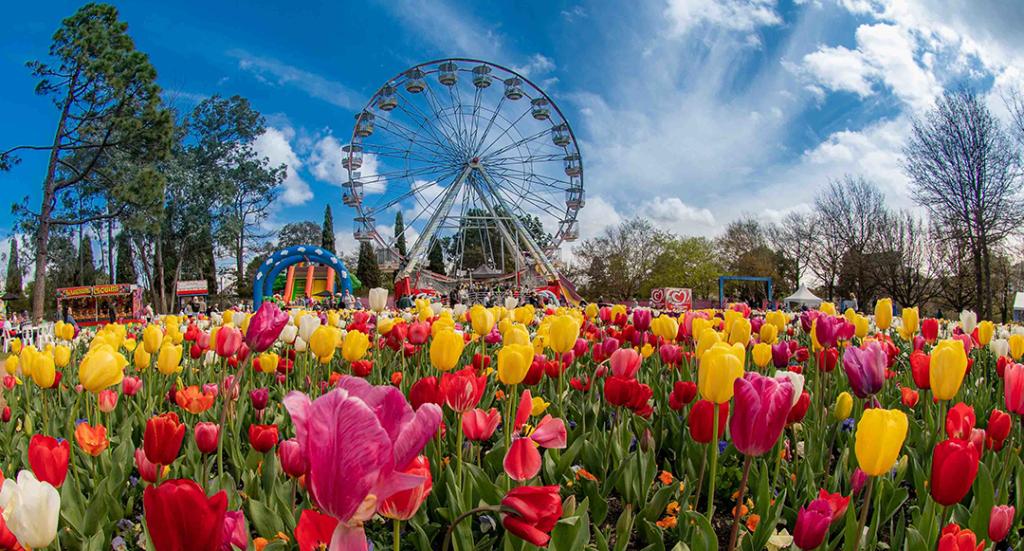 Flower grounds featured during the Floriade flower festival in Canberra.