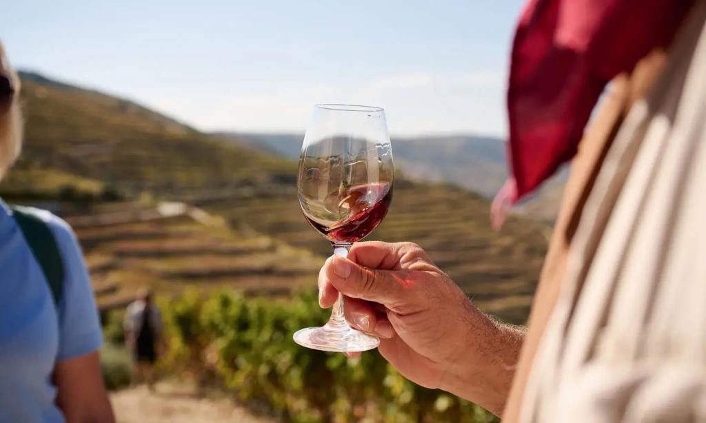 Person holding a glass of wine while overlooking a vast vineyard.