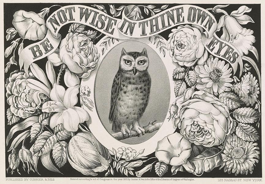 The owl was companion to Athena, godess of wisdom. With its quiet, piercing gaze in the dead of night, the creature came to be associated with wisdom in its own right.