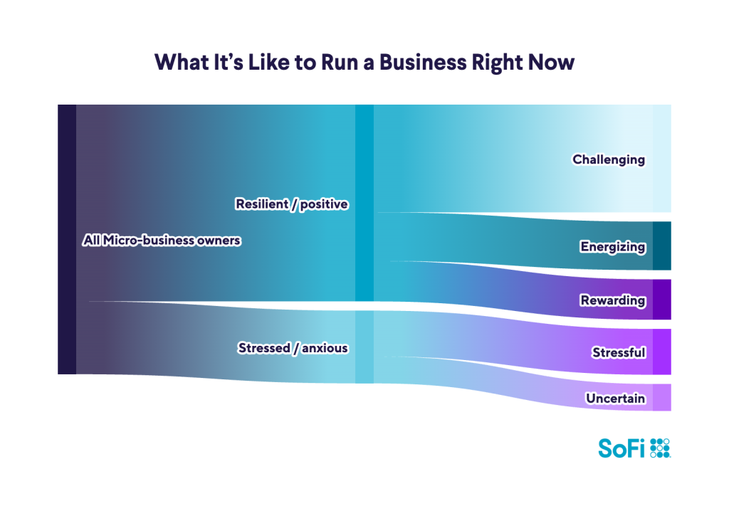 A data graphic showing the leanings of micro-business owners of what it's like to run a business nowadays.