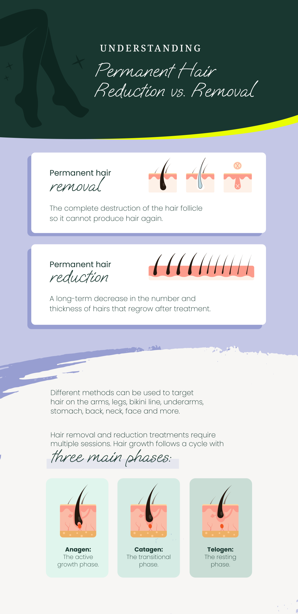 An infographic showing comparison between permanent hair reduction and hair removal, including three main phases of a hair growth cycle.
