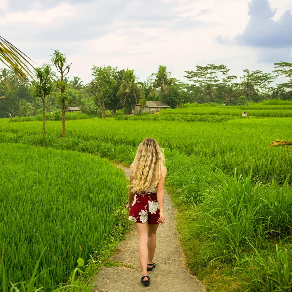 A tourist walking through the lush green and tropical trees in Bali, Indonesia.