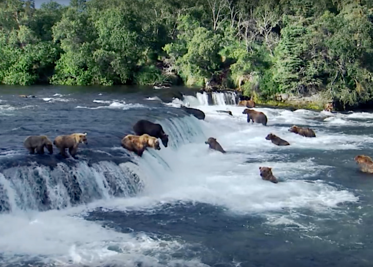 best nature documentaries 2020