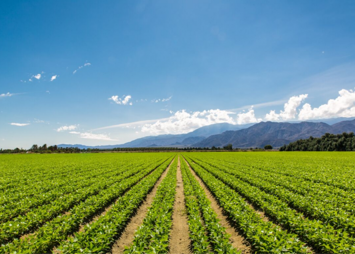 50 Fascinating Facts about Farming in America Stacker