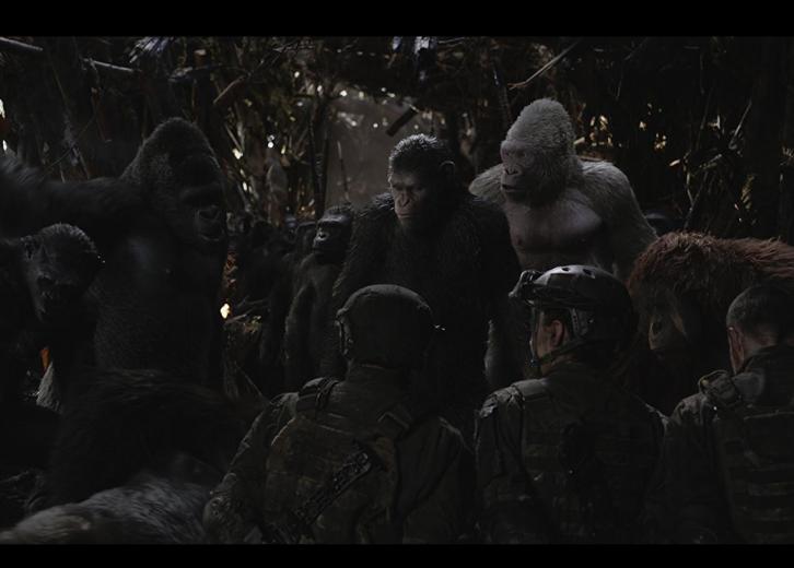 100 Best Action Movies Of All Time Stacker