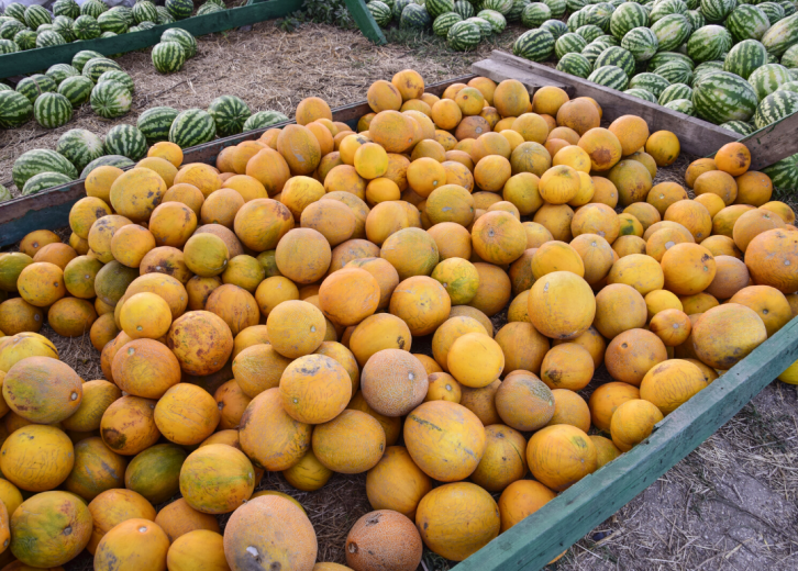 most-valuable-crops-grown-in-south-carolina-stacker