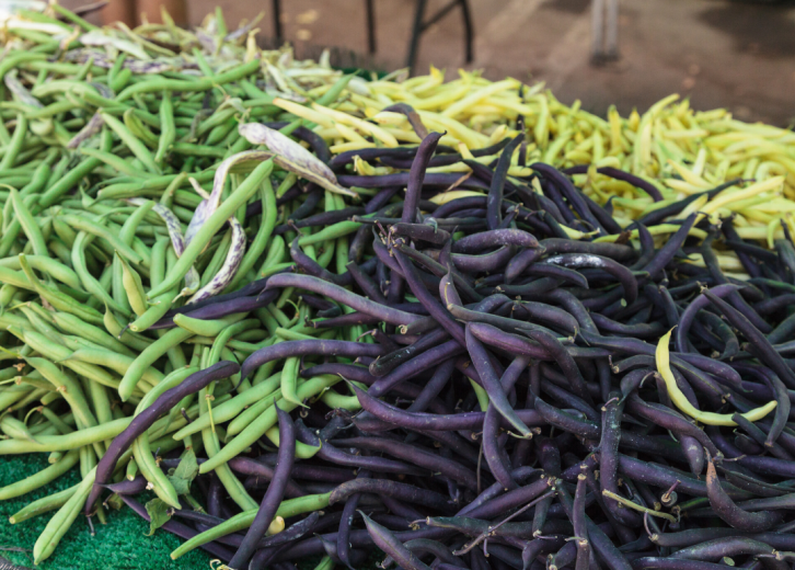 Most valuable crops grown in Pennsylvania Stacker