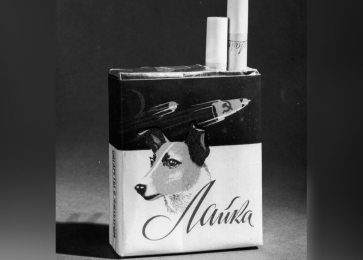 History Of Dogs In Space Stacker
