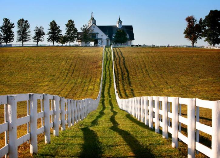 do-you-know-kentucky-s-official-state-symbols-stacker