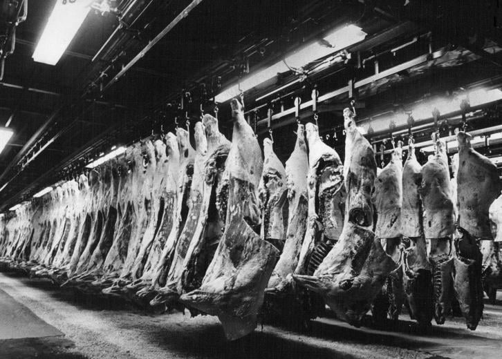 History of America's MeatProcessing Industry Stacker