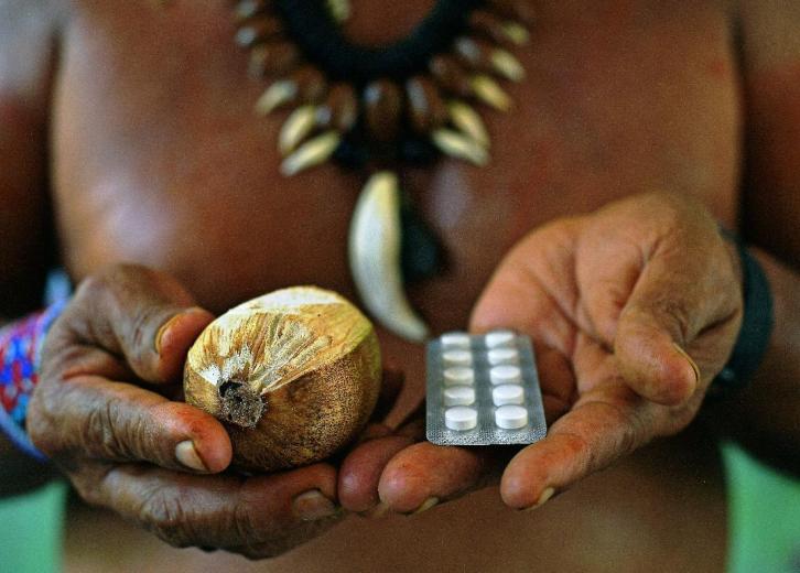 20 Products You Might Not Know Are From The Amazon Rainforest Stacker