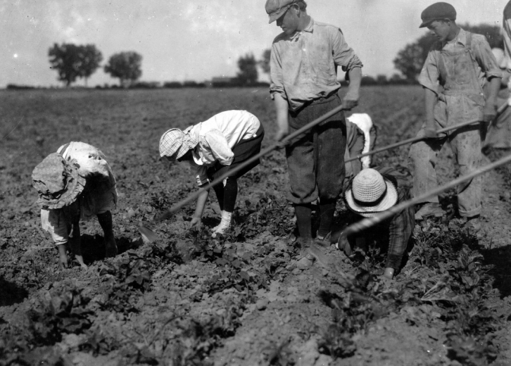 How Farming Has Changed in Every State the Last 100 years | Stacker