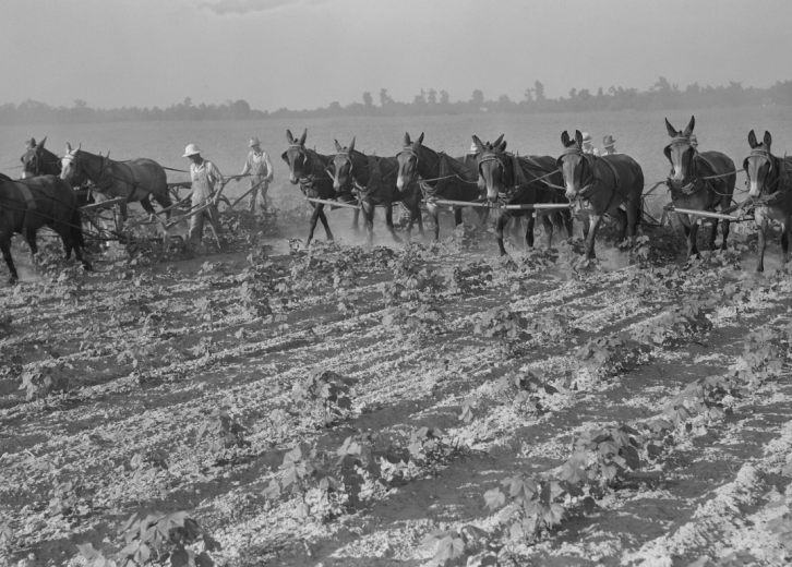 How Farming Has Changed in Every State the Last 100 years Stacker