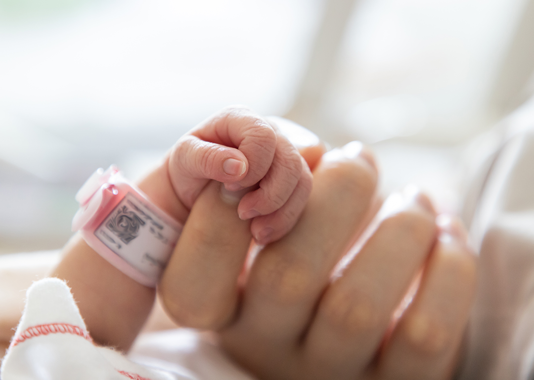 Close up preterm baby hand holding an adult's hand.