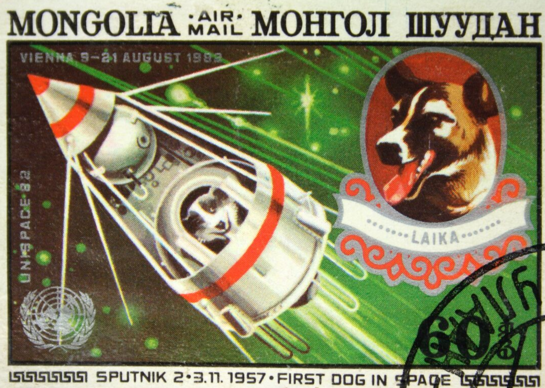 what breed was laika the spacedog