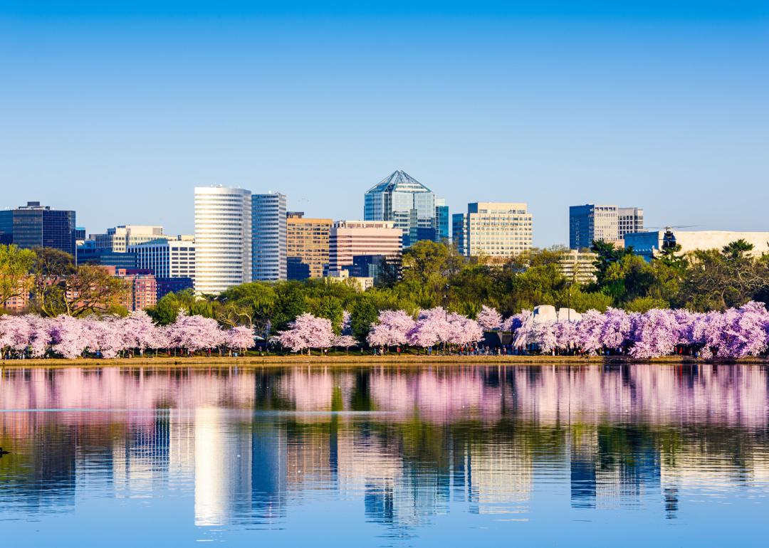 Washington, D.C. at the Tidal Basin during cherry blossom season.
