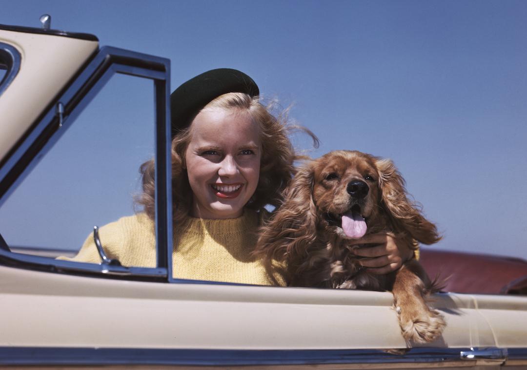 Blonde haired teen girl with black beret hat posed behind the wheel of a convertible car with her Cocker Spaniel dog.